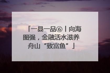 一县一品⑥丨向海图强，金融活水滋养舟山“致富鱼”